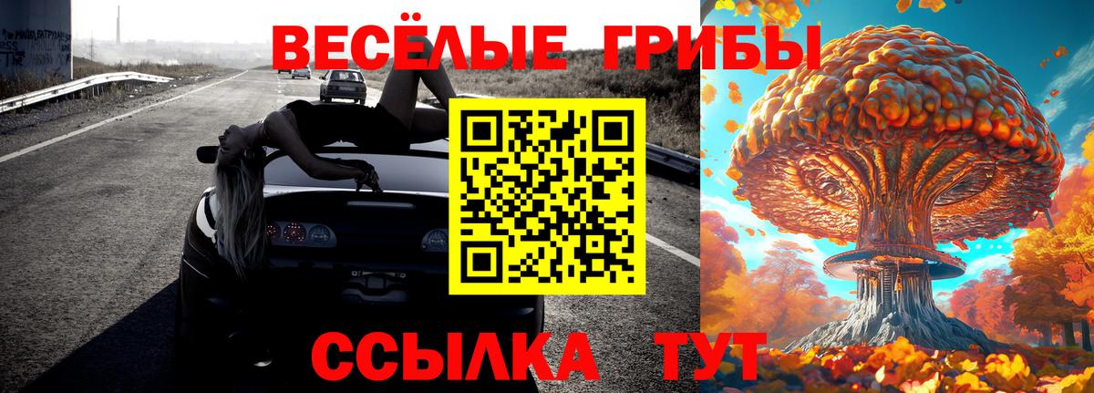 Псилоцибиновые грибы мухоморы Отрадный