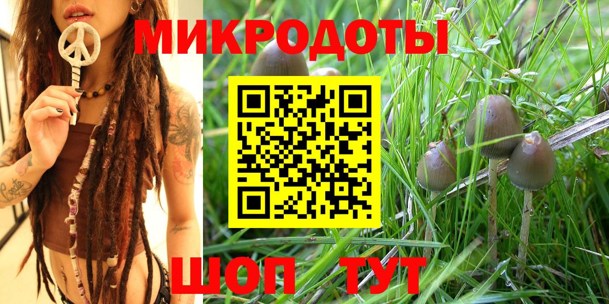 Псилоцибиновые грибы Magic Shrooms  Вход с VPN  Отрадный 